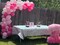 100-Pack White, Light Pink & Rose Red Balloons 12in – Latex Party Decor for Birthdays, Weddings & Baby Showers